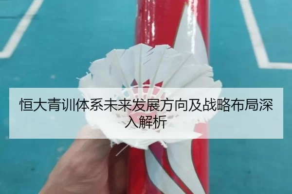 恒大青训体系未来发展方向及战略布局深入解析