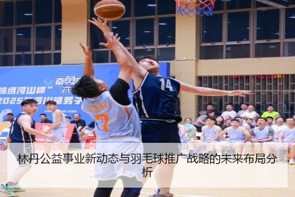 林丹公益事业新动态与羽毛球推广战略的未来布局分析